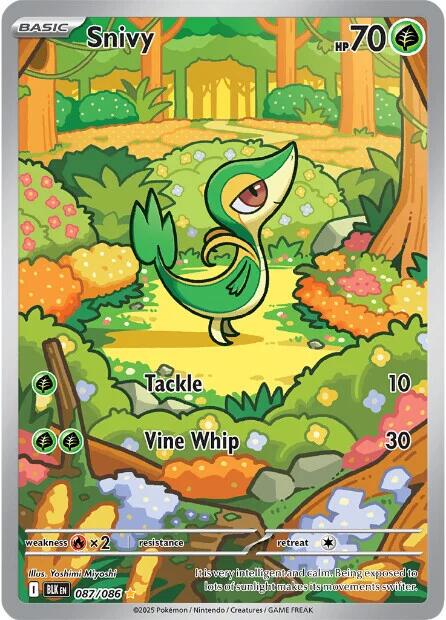 Snivy #87